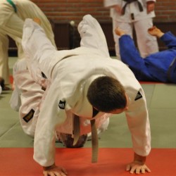 DSC 0056  Medium - Judoclub Zaventem 